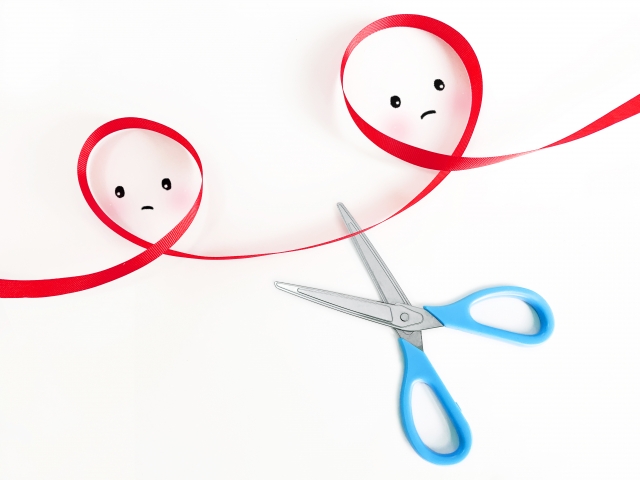 夫 妻別の主な離婚事由 岡山で離婚 男女問題に強い弁護士相談なら西村綜合法律事務所